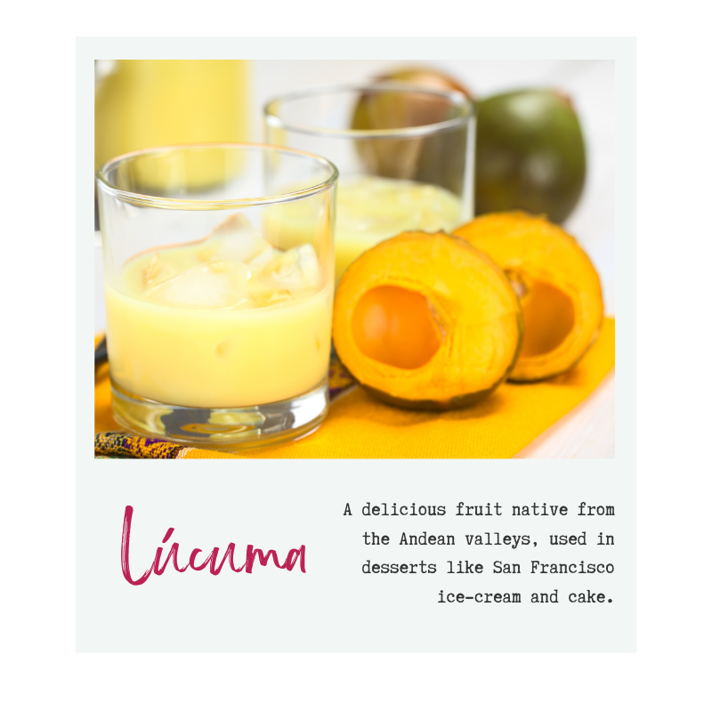 A picture of cut up lúcuma fruit and two glasses with pale yellow lúcuma juice. The text says "A delicious fruit native from the Andean valleys, used in desserts like San Francisco ice-cream and cake."